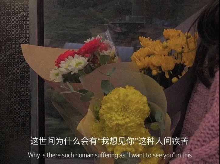 我不会为你去摘悬崖上的花