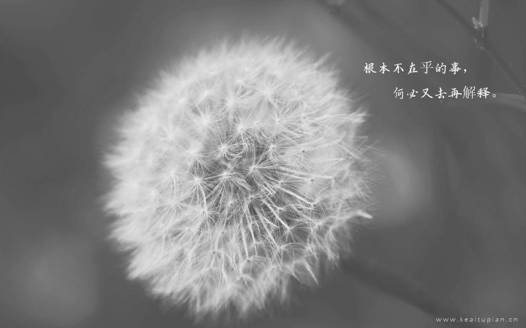 90句加油鼓励的话，值得点击收藏