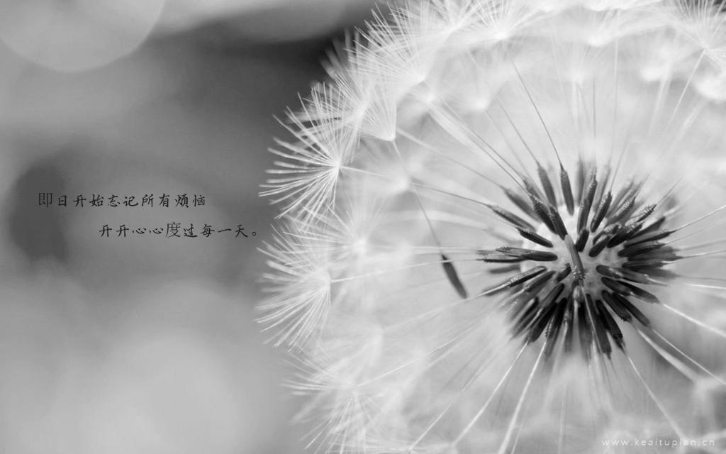 有深刻哲理的爱情经典语录_爱情一句话