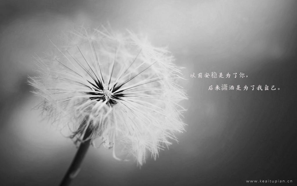 婚姻里的江山