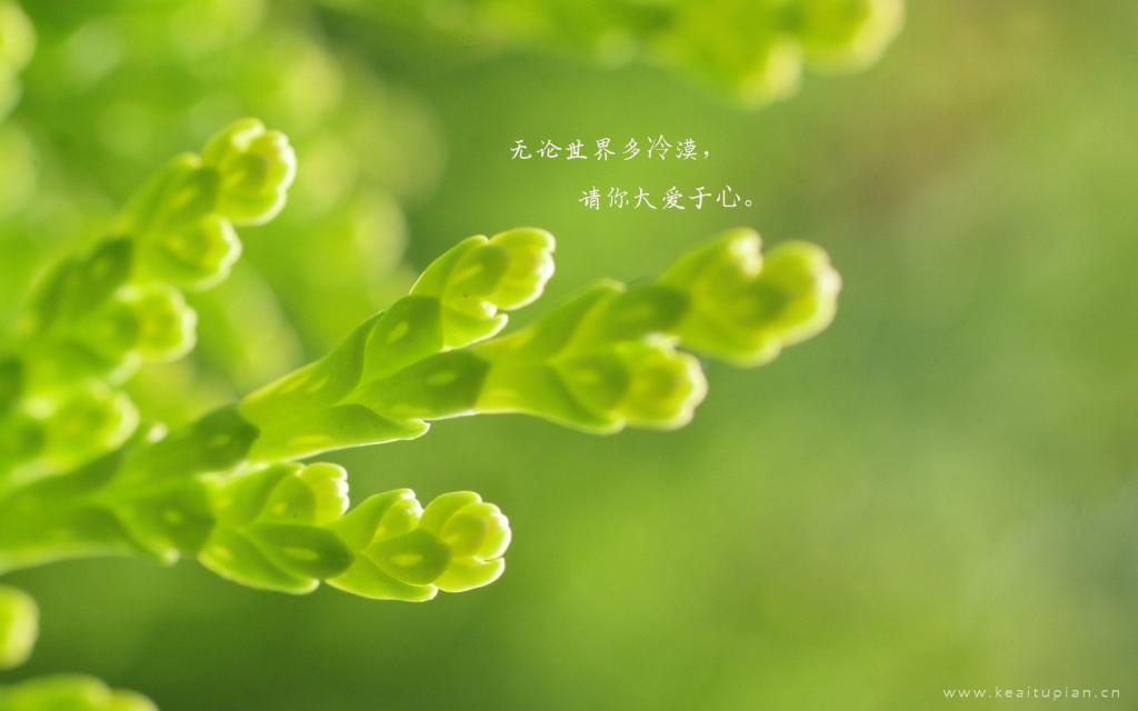 民间怪谈故事之离卦_民间鬼故事