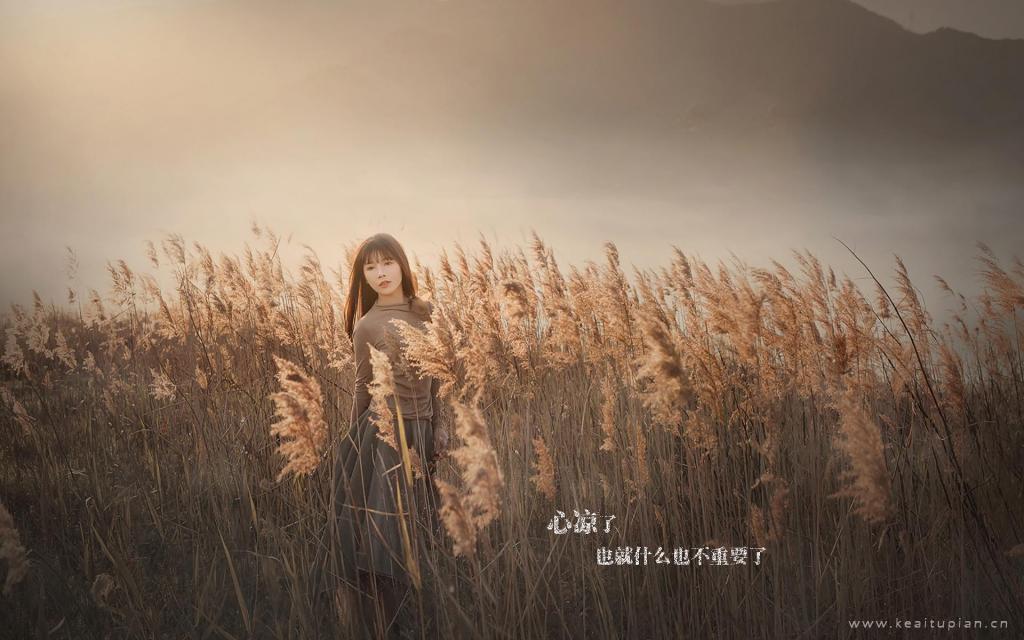 森林传说