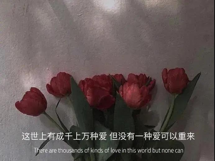 兄弟合买靴