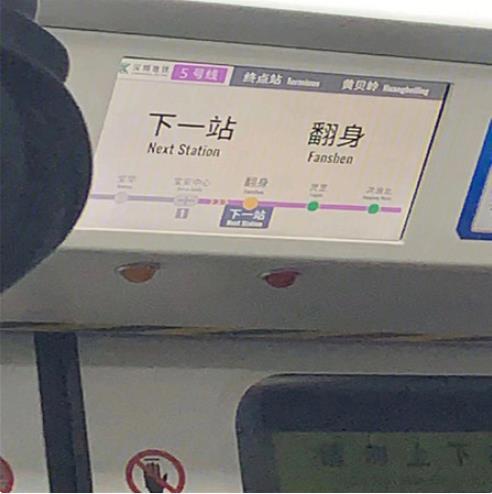 黑猫不睡