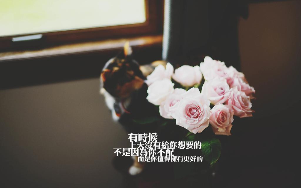 和他在一起，做什么都是幸福的