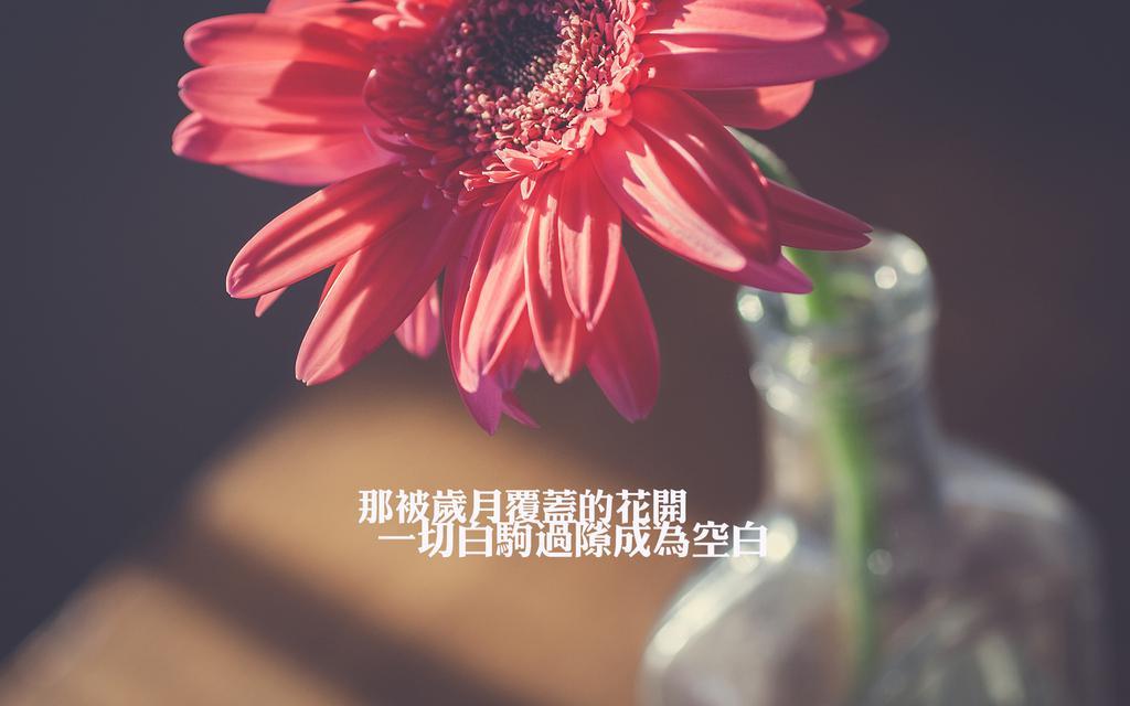 韩寒一句经典的语录大全 经典短句