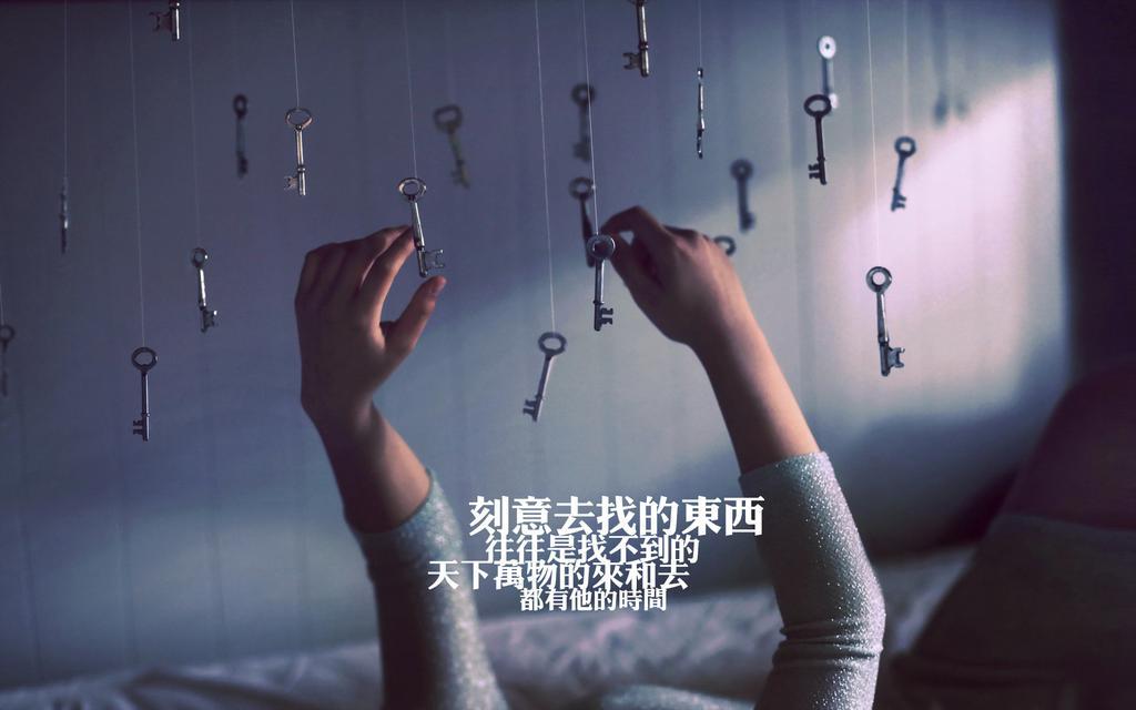 爱情是一首寂寞的歌