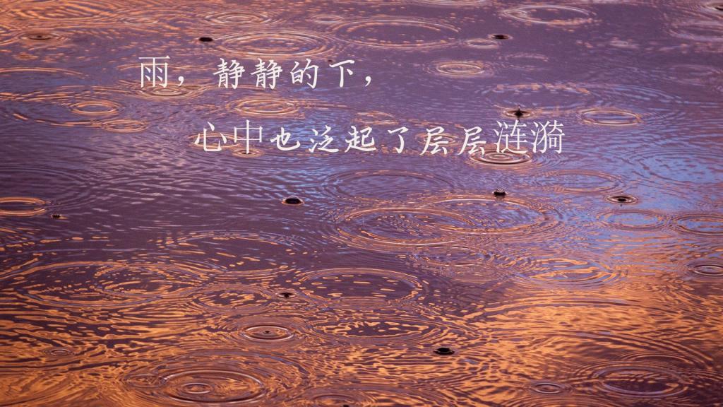 留下阳光