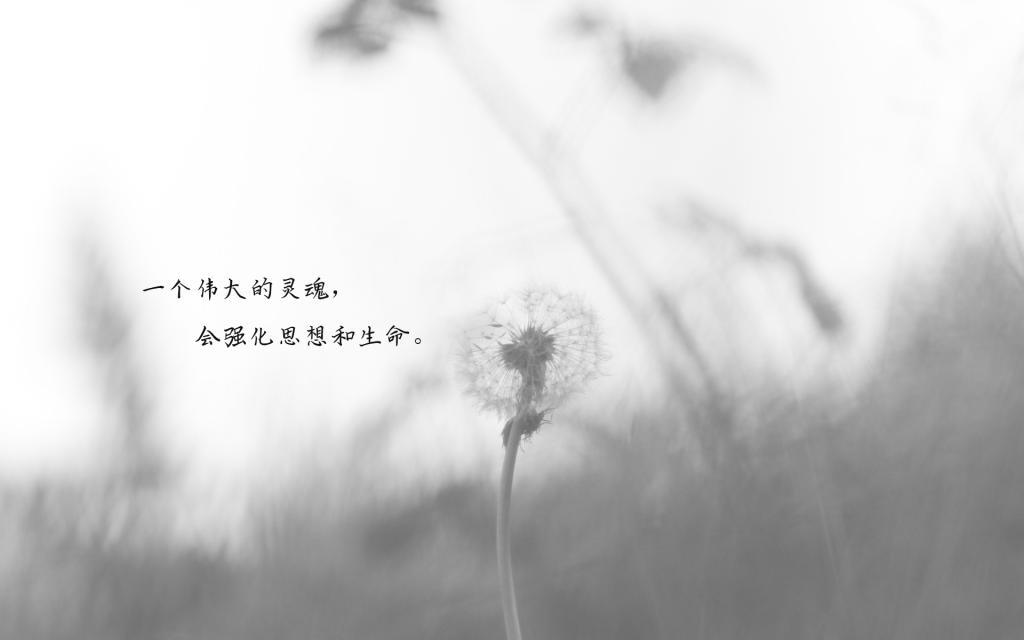 给自己正能量的精彩好句子