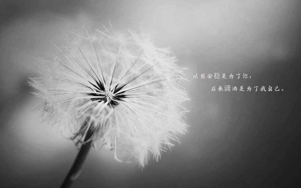 再也不说我爱你