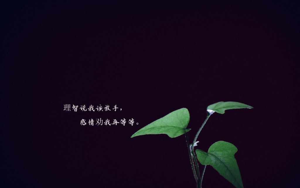 世事大梦一场，人生几度新凉