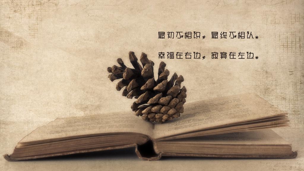 感悟人生的禅意句子/禅意短语