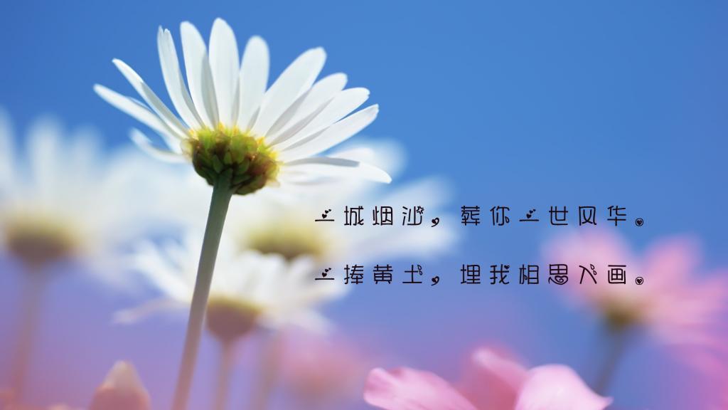 被爱情冲昏了头脑