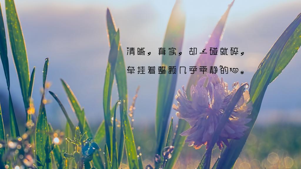 毅力的名言,关于毅力的名言