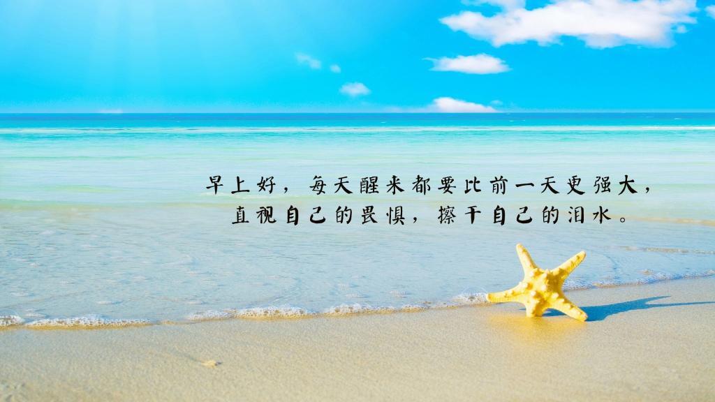 那些花儿