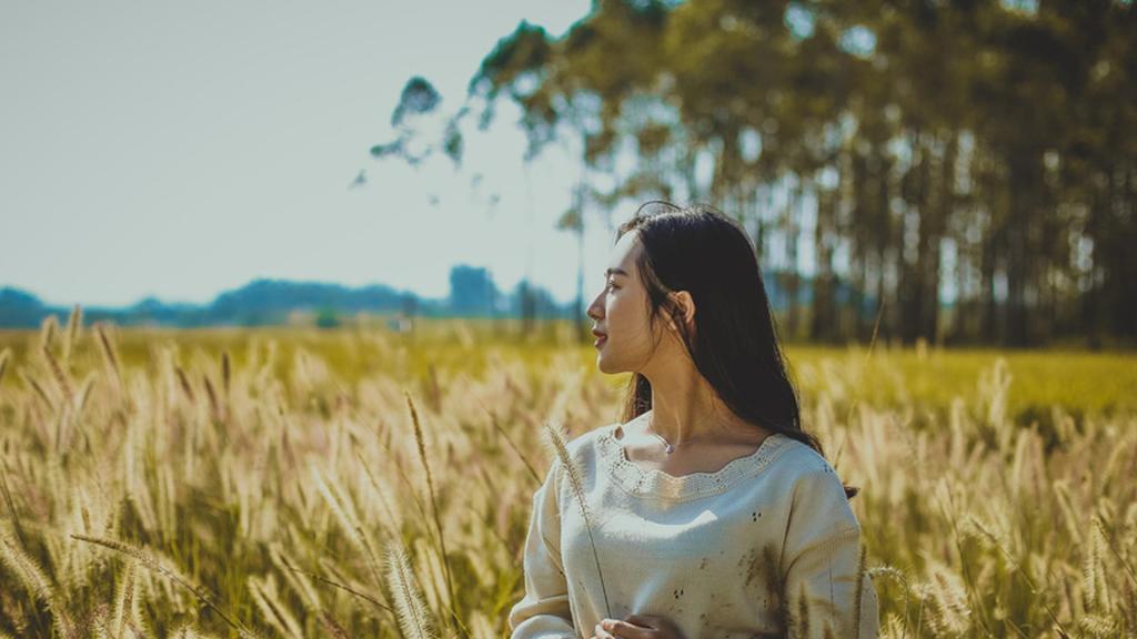 血红的玫瑰