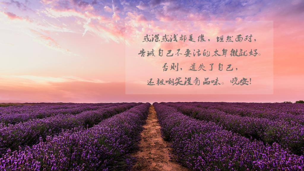 表达兄弟情深的句子38条