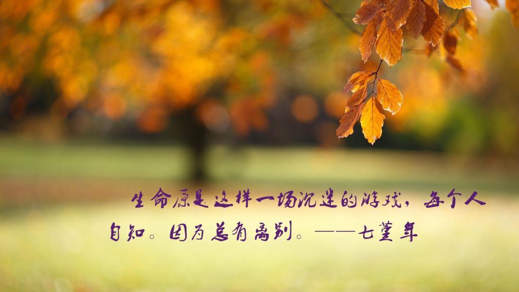 清明节养生祝福语缅怀说说大全