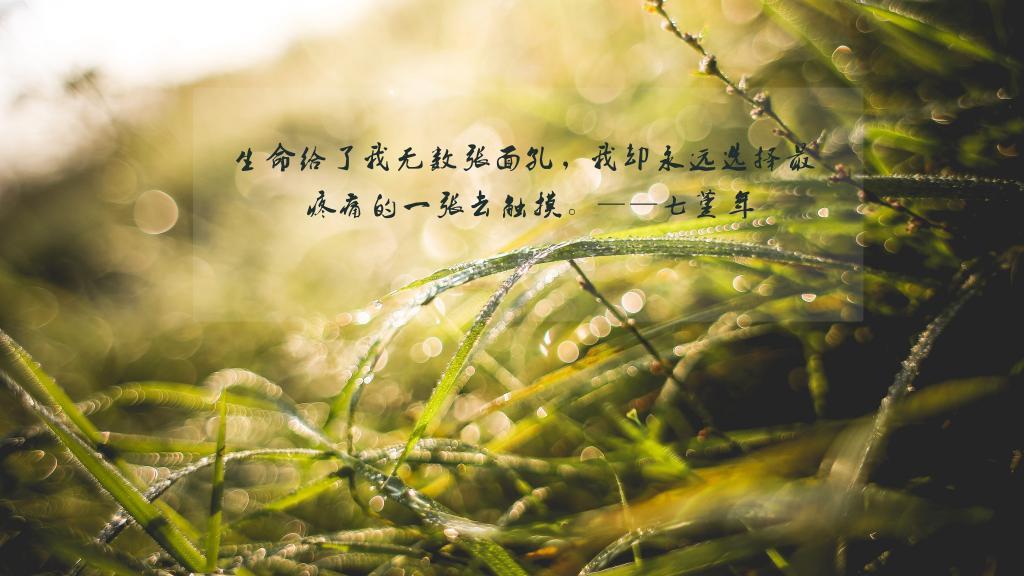 只看见钱