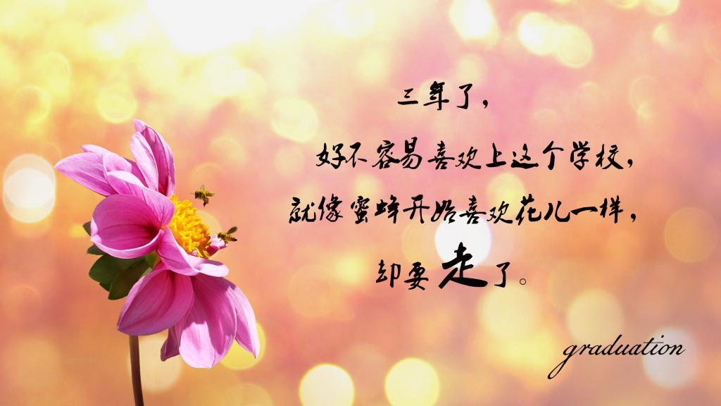最伤心的话