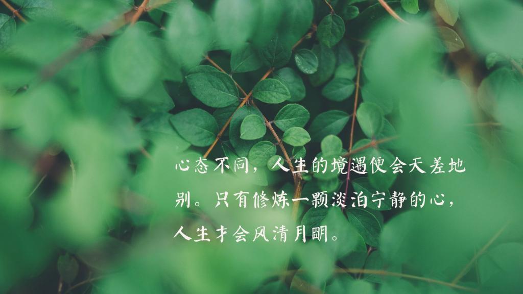 没有期望，才能做到不失望。关于兔斯基的个性语录