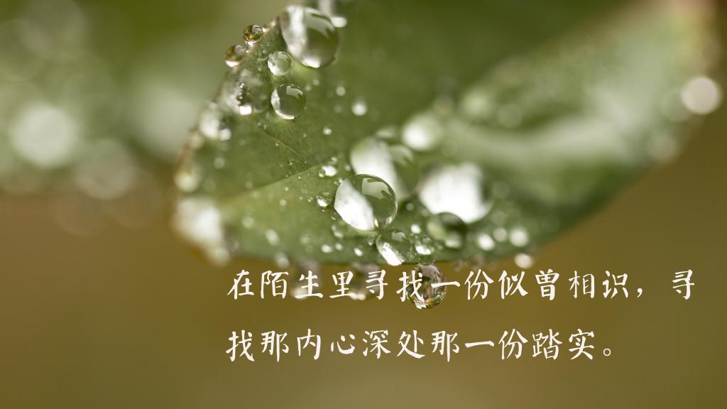 从天鹅身上得到的启示