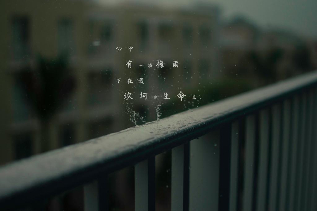 庄子经典名言名句妙语录!名人经典语录
