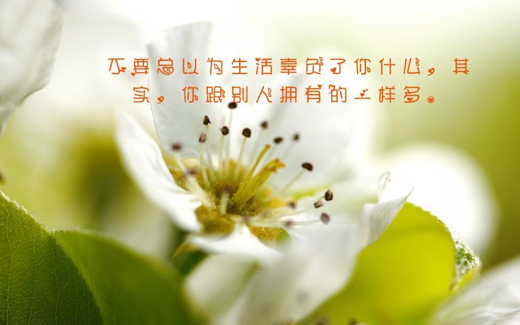 谎言里的爱