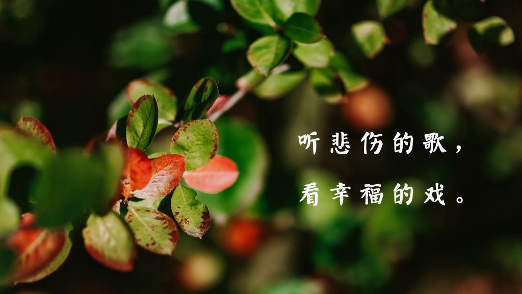 积极向上的人生励志语录|积极句子