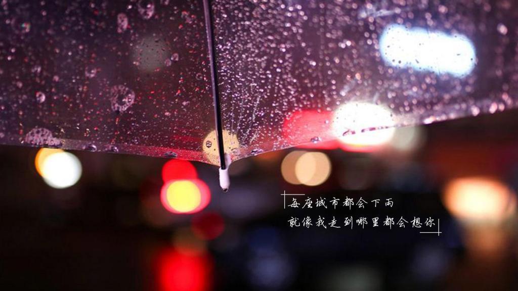 关于我爱你的66个答案