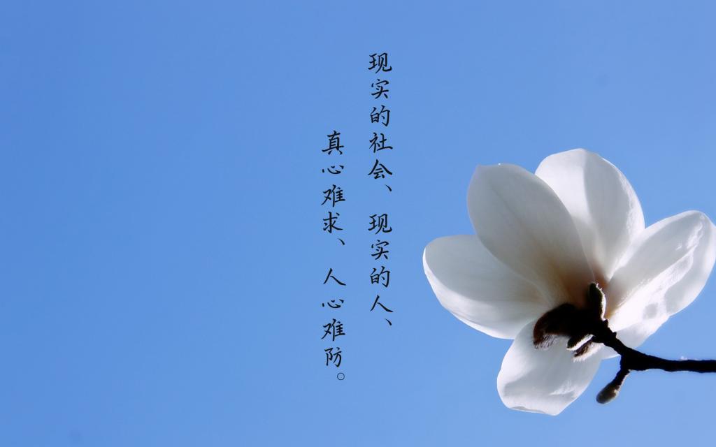 半夜中巴