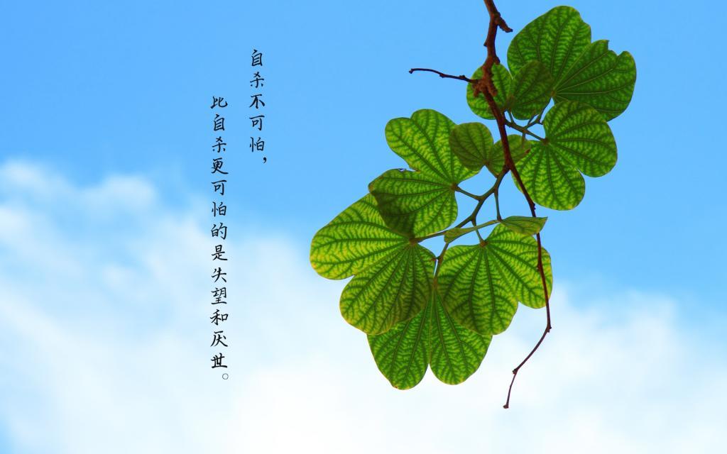 100句奋发图强的格言警句