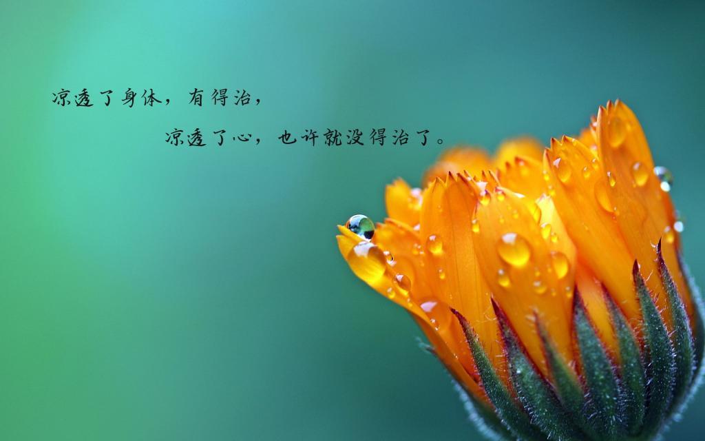 我喜欢你的幽默感