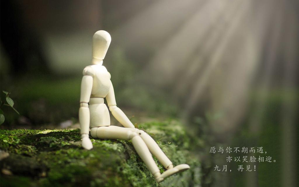 窗外枝头上的那朵花