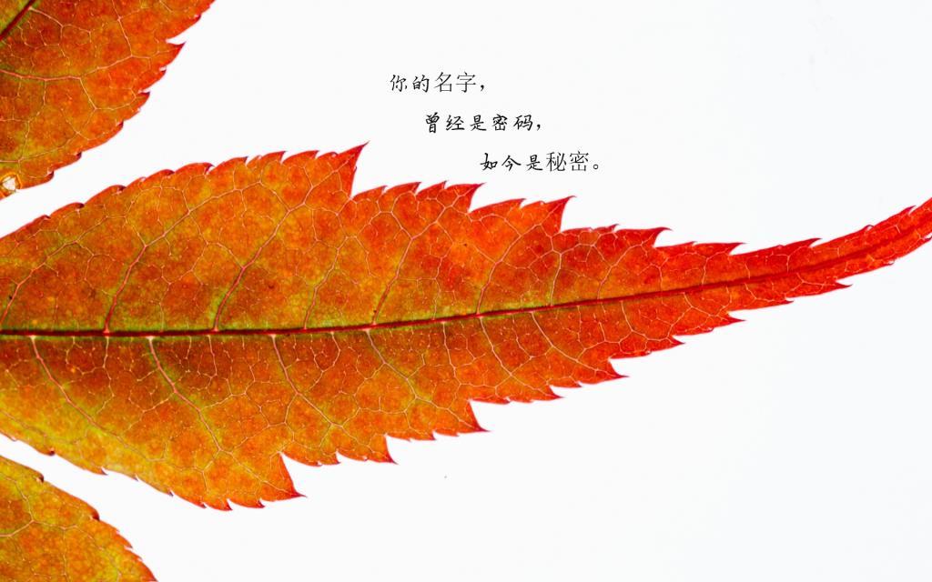 淇得庙封喉