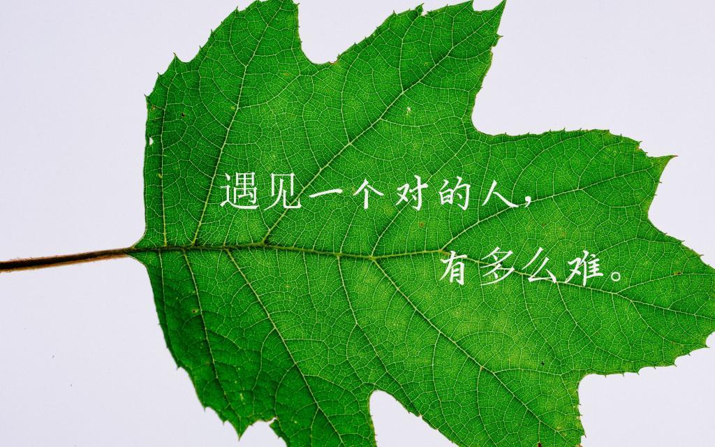 你是我不能带走的阳光