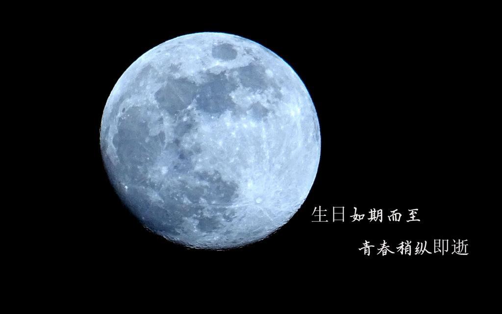 还我钱来