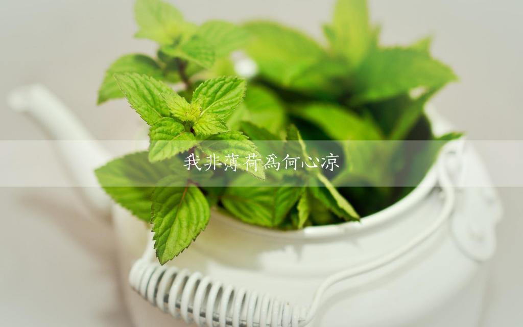 丑婆娘的爱情