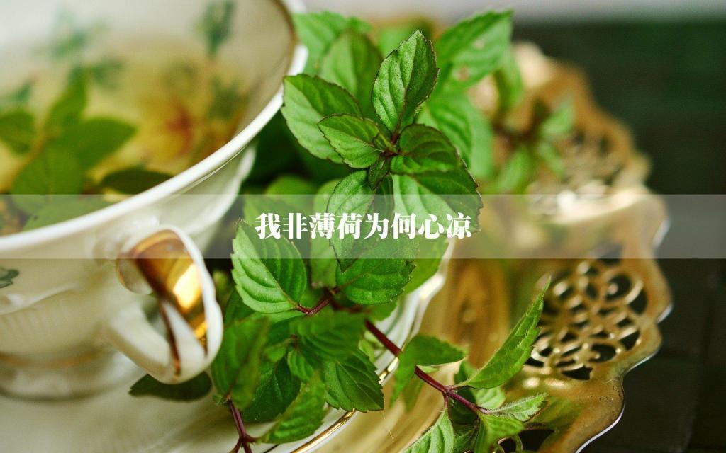 欠你的一滴眼泪