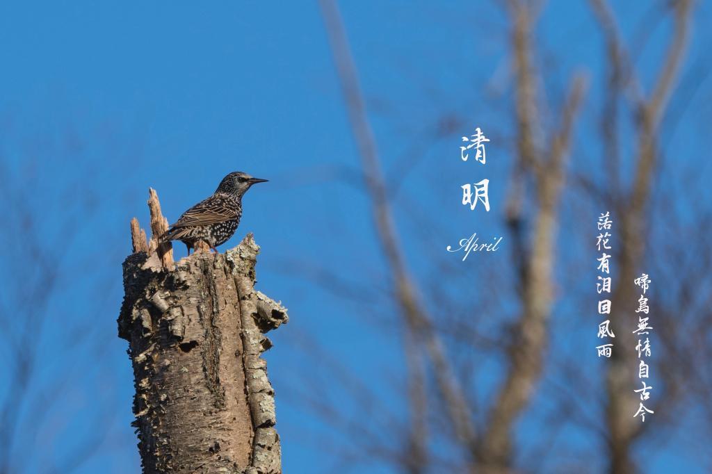 关于饶雪漫的最新经典语录欣赏
