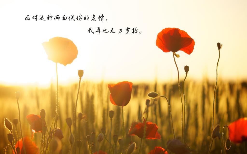 左手边，50米