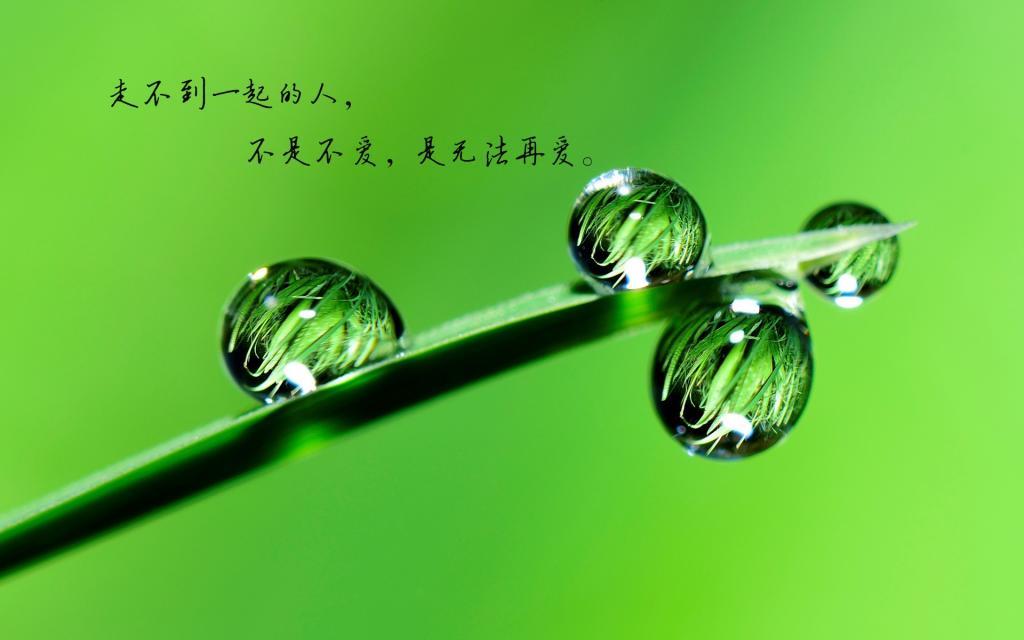 不知道是否还能找到你