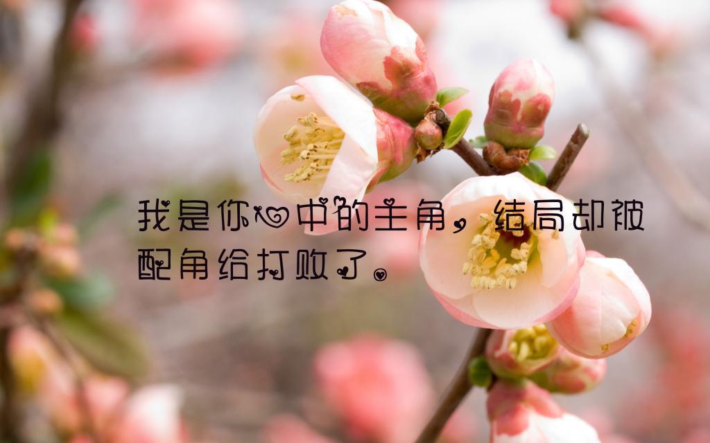 一句佛语人生哲理经典语录,佛语一句话