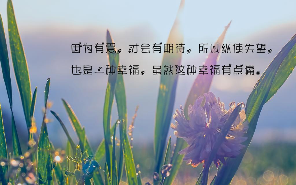 鹤壁印象散文