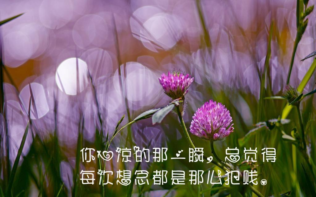 江南秋叶||好想养头牛