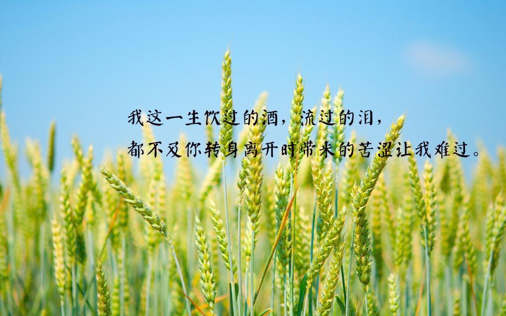 灵魂赎罪酒吧