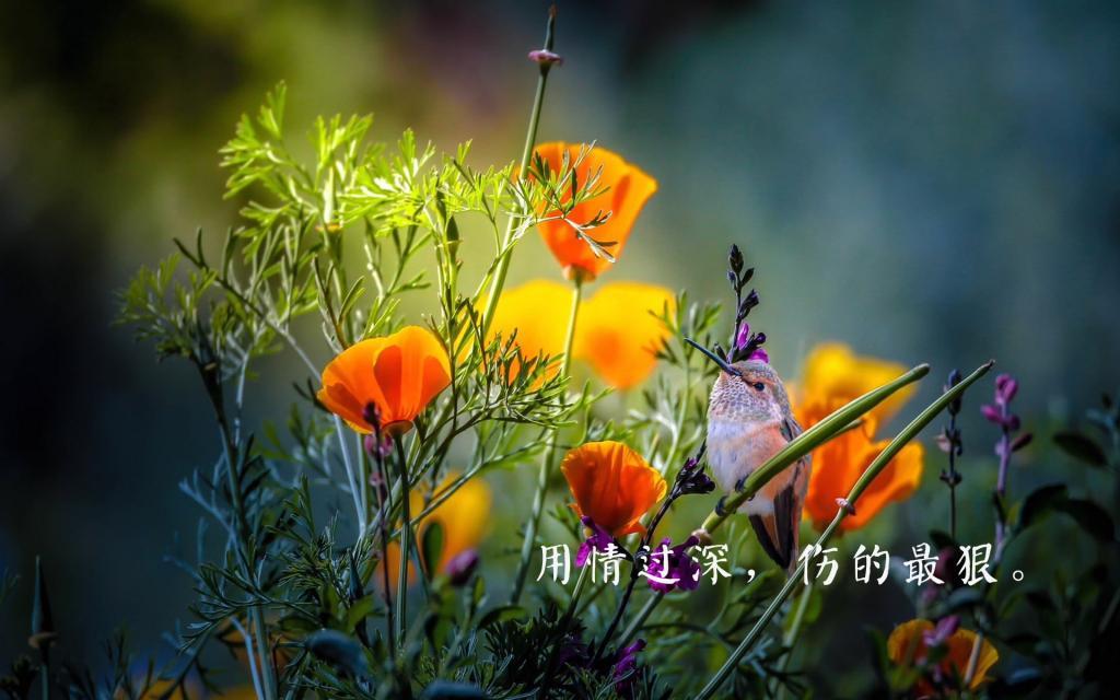 假如我仅剩三天生命