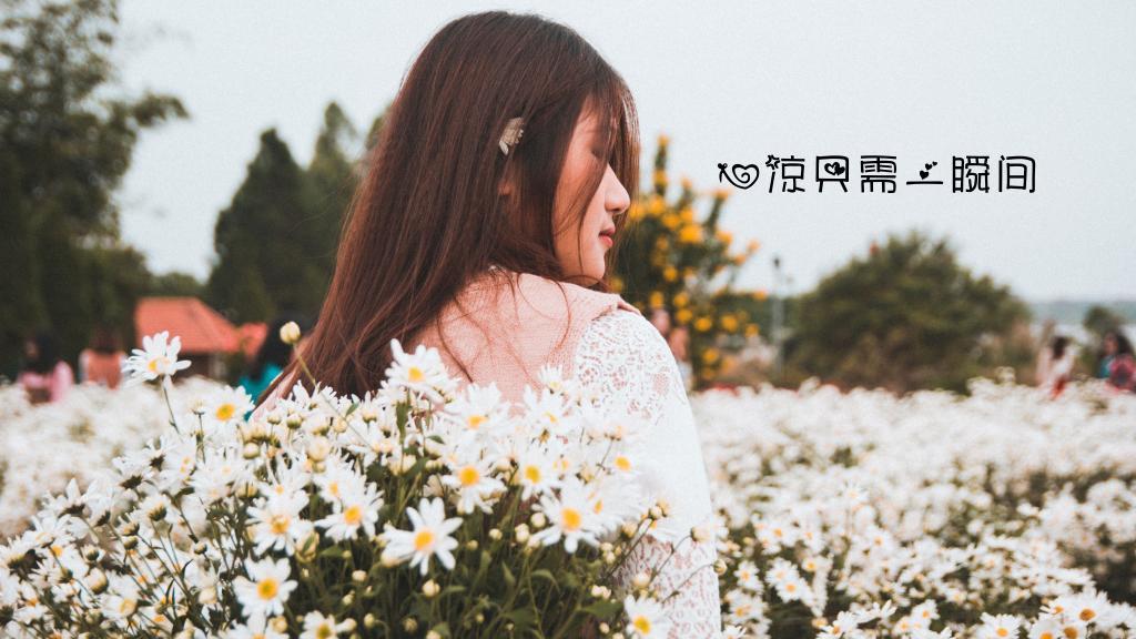 蝙蝠称王