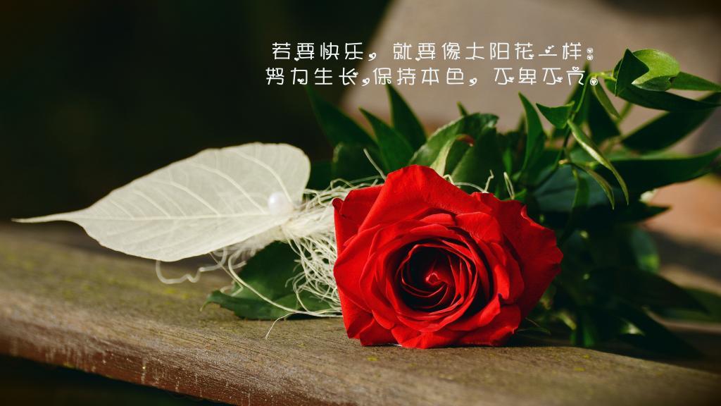 2019年医学院雷锋先进事迹材料精选4篇