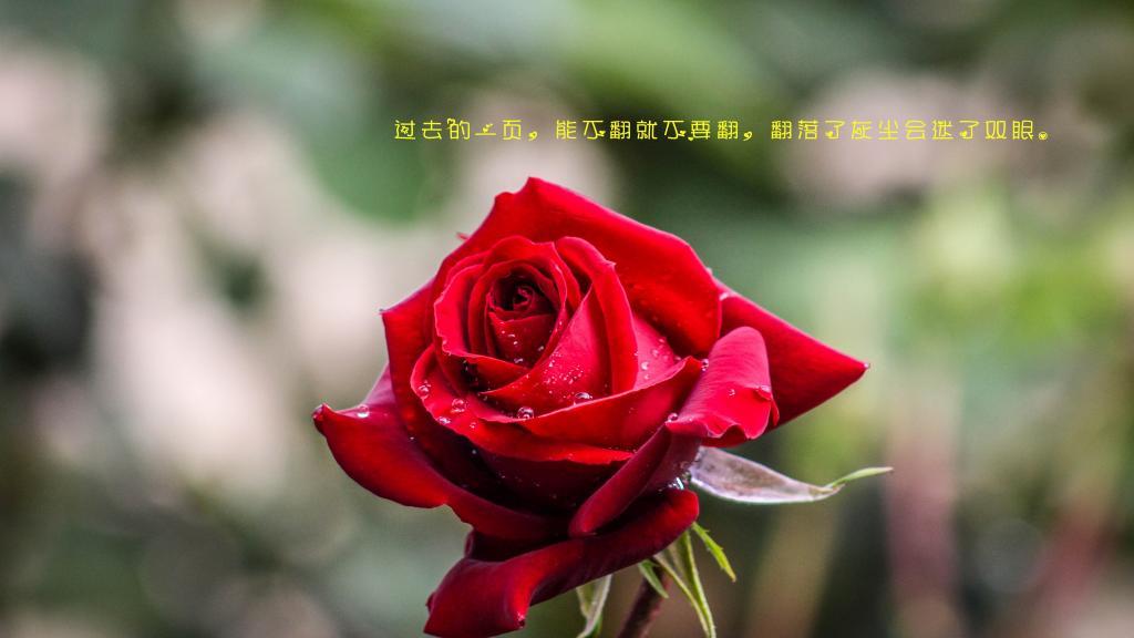 挑剔的顾客
